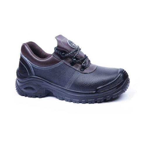 Alborz Safety shoes
